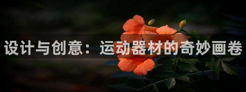 哈哈体育官方客服电话:设计与创意:运动器材的奇妙画卷