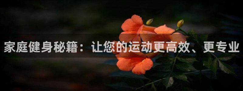 哈哈体育集团E.ON:家庭健身秘籍:让您的运动更高效、更专业